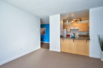Designer interior finishes & lighting
